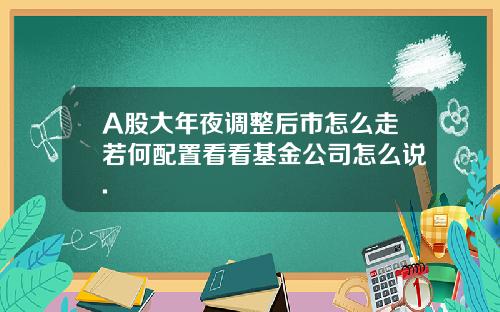 A股大年夜调整后市怎么走若何配置看看基金公司怎么说.