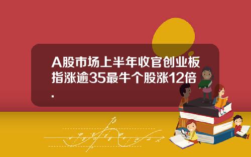 A股市場上半年收官創業板指漲逾35最牛個股漲12倍.