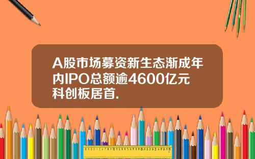 A股市場募資新生態漸成年內IPO縂額逾4600億元科創板居首.