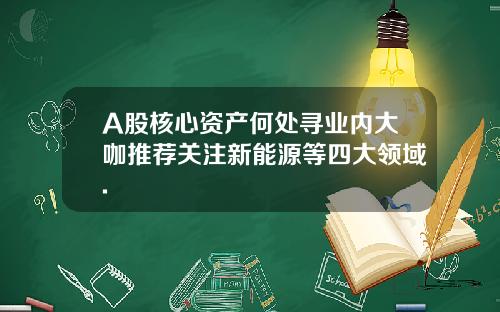 A股核心资产何处寻业内大咖推荐关注新能源等四大领域.