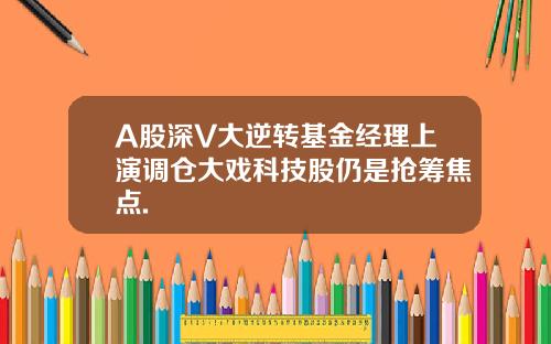 A股深V大逆转基金经理上演调仓大戏科技股仍是抢筹焦点.