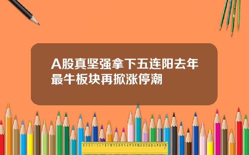 A股真堅強拿下五連陽去年最牛板塊再掀漲停潮