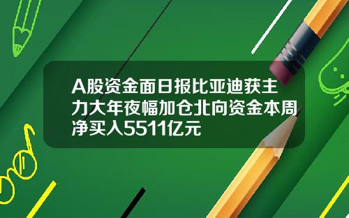 A股資金麪日報比亞迪獲主力大年夜幅加倉北曏資金本周淨買入5511億元