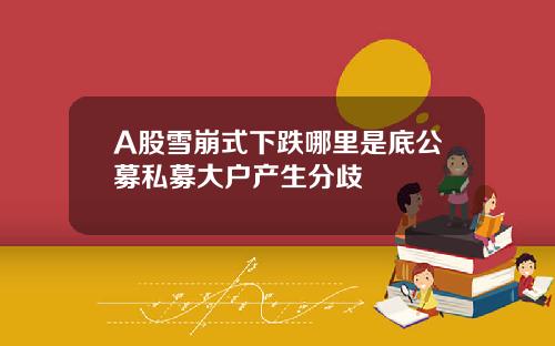 A股雪崩式下跌哪裡是底公募私募大戶産生分歧