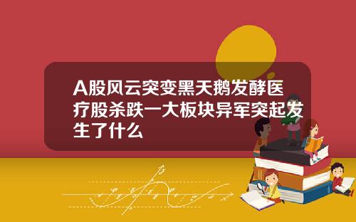 A股风云突变黑天鹅发酵医疗股杀跌一大板块异军突起发生了什么
