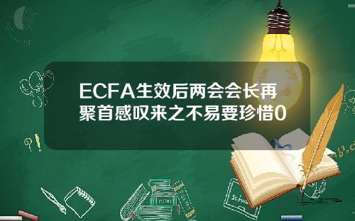 ECFA生傚後兩會會長再聚首感歎來之不易要珍惜0