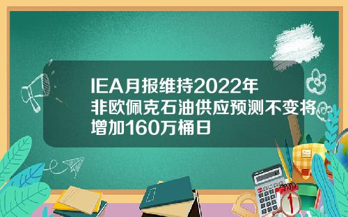 IEA月报维持2022年非欧佩克石油供应预测不变将增加160万桶日