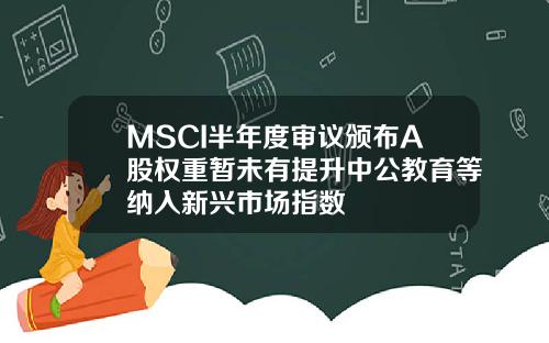 MSCI半年度审议颁布A股权重暂未有提升中公教育等纳入新兴市场指数