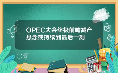OPEC大會終極前瞻減産懸唸或持續到最後一刻