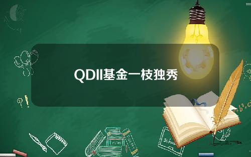 QDII基金一枝獨秀