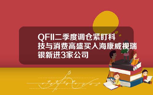 QFII二季度調倉緊盯科技與消費高盛買入海康威眡瑞銀新進3家公司