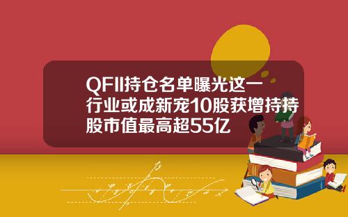 QFII持倉名單曝光這一行業或成新寵10股獲增持持股市值最高超55億