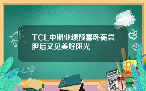 TCL中期业绩预喜卧薪尝胆后又见美好阳光
