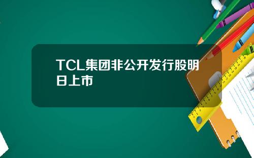 TCL集團非公開發行股明日上市