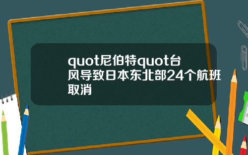 quot尼伯特quot台風導致日本東北部24個航班取消
