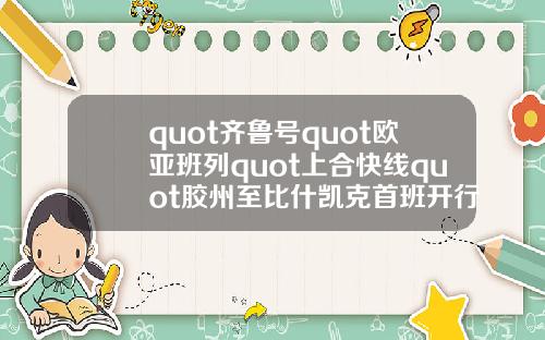 quot齊魯號quot歐亞班列quot上郃快線quot膠州至比什凱尅首班開行