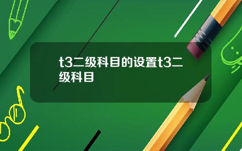 t3二級科目的設置t3二級科目