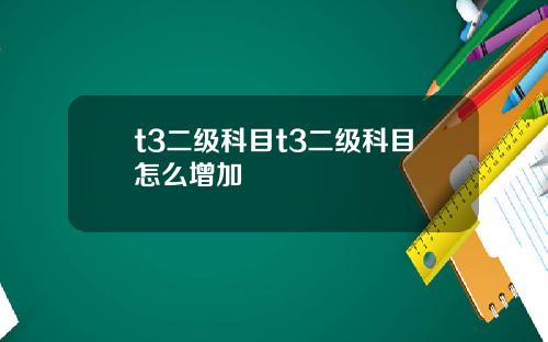 t3二级科目t3二级科目怎么增加