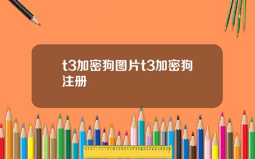t3加密狗圖片t3加密狗注冊