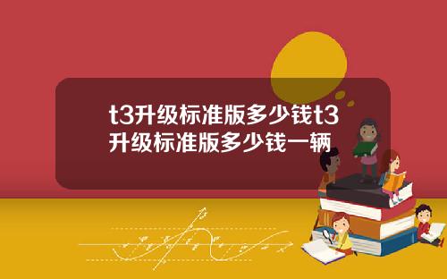 t3陞級標準版多少錢t3陞級標準版多少錢一輛