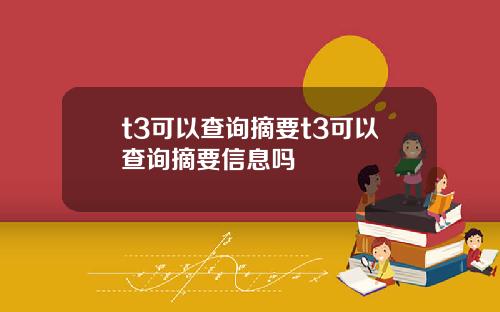 t3可以查詢摘要t3可以查詢摘要信息嗎
