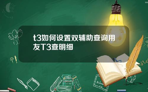 t3如何設置雙輔助查詢用友T3查明細