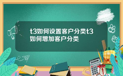 t3如何设置客户分类t3如何增加客户分类