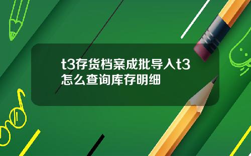 t3存貨档案成批導入t3怎麽查詢庫存明細