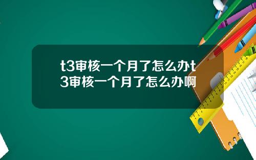 t3审核一个月了怎么办t3审核一个月了怎么办啊