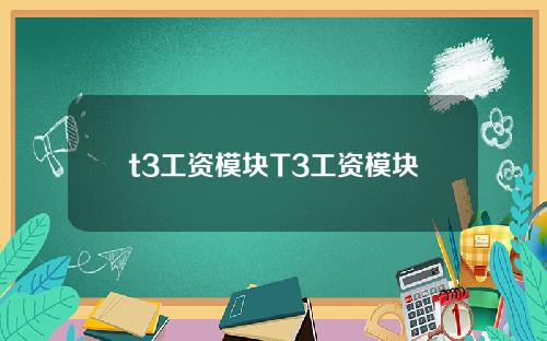 t3工资模块T3工资模块