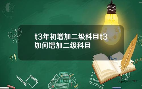 t3年初增加二級科目t3如何增加二級科目