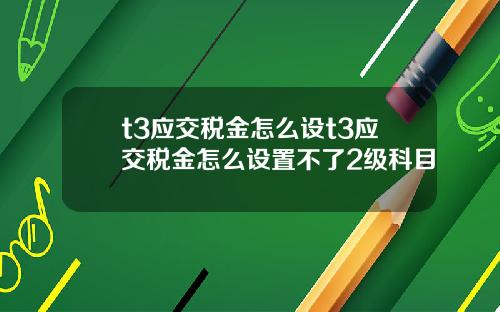 t3應交稅金怎麽設t3應交稅金怎麽設置不了2級科目