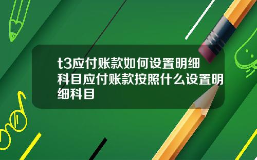 t3應付賬款如何設置明細科目應付賬款按照什麽設置明細科目