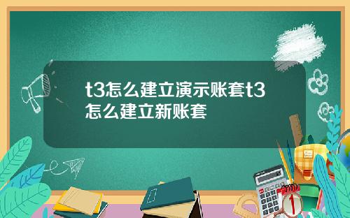t3怎么建立演示账套t3怎么建立新账套