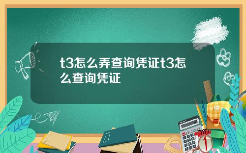 t3怎么弄查询凭证t3怎么查询凭证