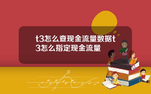 t3怎麽查現金流量數據t3怎麽指定現金流量