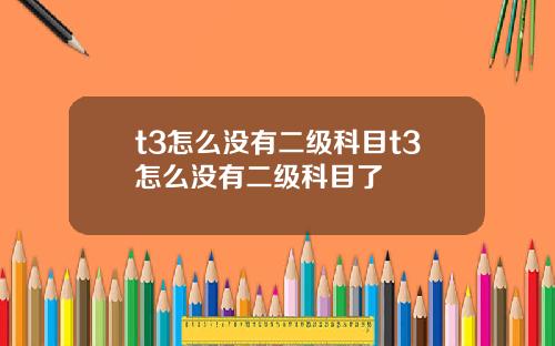 t3怎麽沒有二級科目t3怎麽沒有二級科目了
