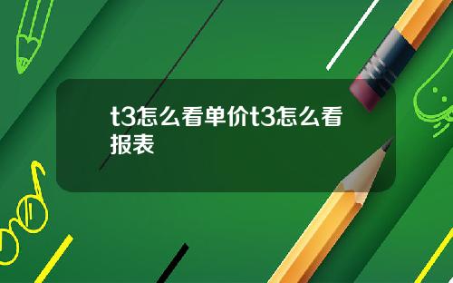 t3怎麽看單價t3怎麽看報表
