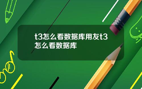 t3怎么看数据库用友t3怎么看数据库