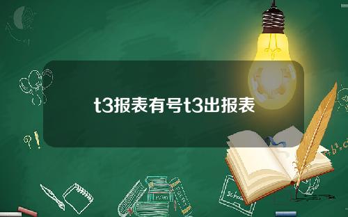t3报表有号t3出报表