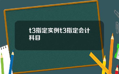 t3指定实例t3指定会计科目