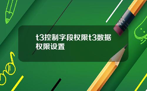 t3控制字段权限t3数据权限设置