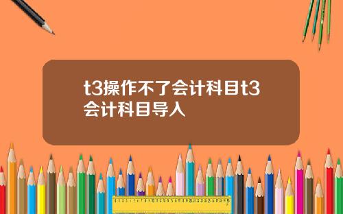 t3操作不了会计科目t3会计科目导入
