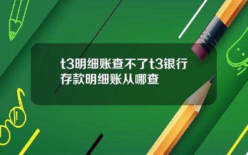 t3明细账查不了t3银行存款明细账从哪查