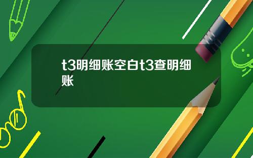 t3明细账空白t3查明细账