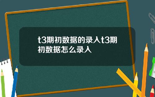 t3期初數據的錄入t3期初數據怎麽錄入