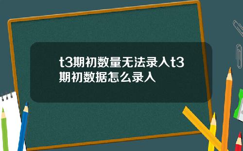 t3期初數量無法錄入t3期初數據怎麽錄入