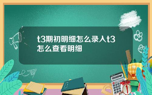 t3期初明細怎麽錄入t3怎麽查看明細