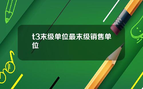t3末級單位最末級銷售單位