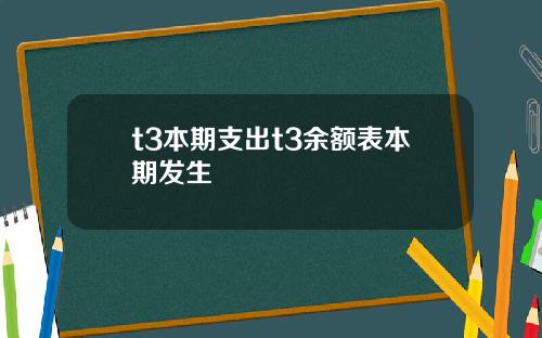 t3本期支出t3餘額表本期發生